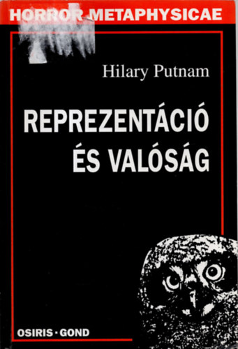 Hilary Putman - Reprezentci s valsg