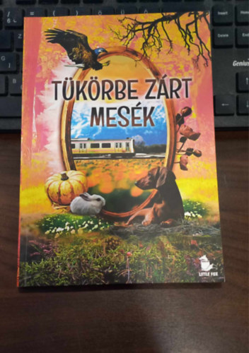 Tkrbe zrt mesk