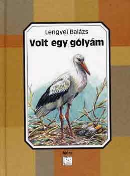 Lengyel Balzs - Volt egy glym