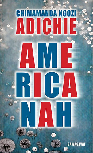 Chimamanda Ngoziadichie - Americanah