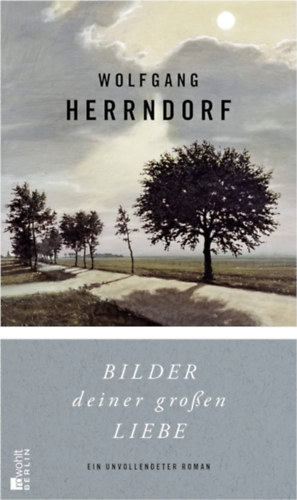 Wolfgang Herrndorf - Bilder deiner groen Liebe