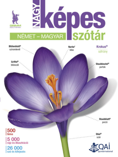 Nagy kpes nmet-magyar sztr
