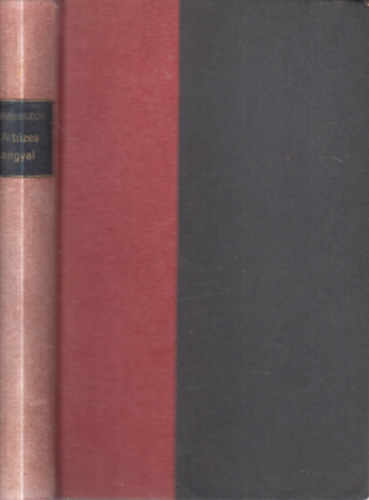 Val�rij Brjusszov - A t�zes angyal (Mindny�junk k�nyvt�ra)- I. kiad�s