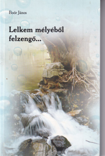 Bo�r J�nos - Lelkem m�ly�b�l felzeng�...