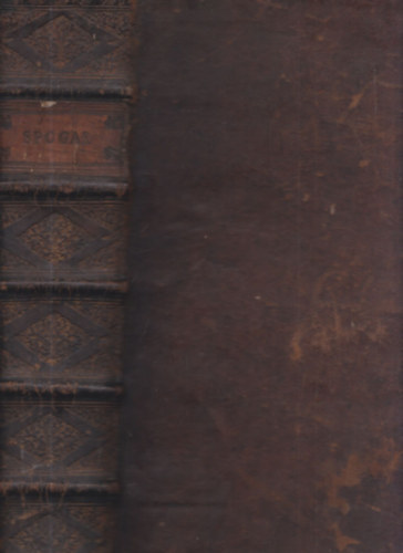 Joanne Maria Sbogar - Theologia Radicalis