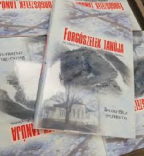 Forgószelek tanúja - Felsőnyéktől a mikroelektronikán át Felsőnyékig - Balogh Béla emlékiratai