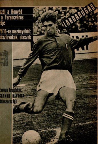Hoffer Jzsef   (szerk) - Labdargs 1970. ( XVI. vfolyam 1-12. sz. teljes )