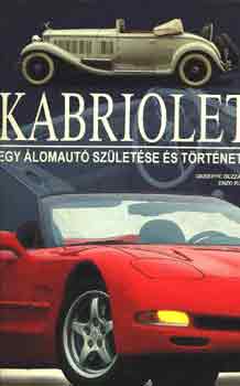 G.-Rizzo, E. Guzzardi - Kabriolet- Egy lomaut szletse s trtnete