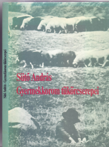 Ablonczy Lszl  St Andrs (szerk.) - Gyermekkorom tkrcserepei (nletrajzi rsok)