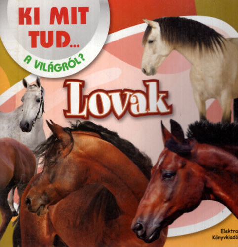 Rkai Andrs Simon Zsolt - Lovak - Ki mit tud... a vilgrl? 2013/2