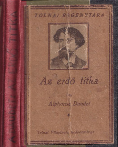 Alphonse Daudet - Az erd� titka