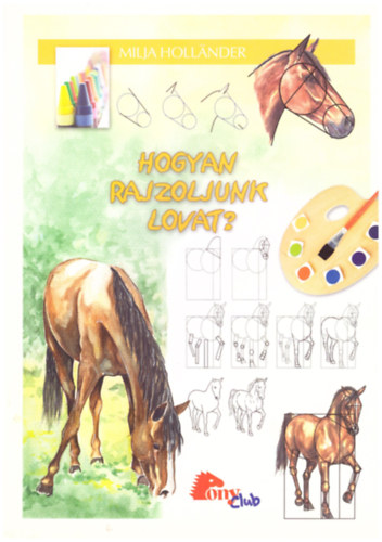 Milja Hollander - Hogyan rajzoljunk lovat?