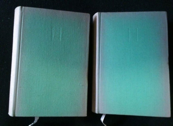 Guy De Maupassant - Maupassant összes elbeszélései I-II.