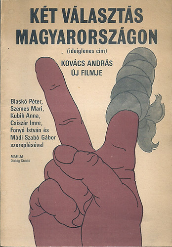 K�t v�laszt�s Magyarorsz�gon (ideiglenes c�m)Kov�cs Anndr�s �j filmje
