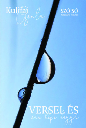 Kulifai Gyula - Versel �s van k�pe hozz�