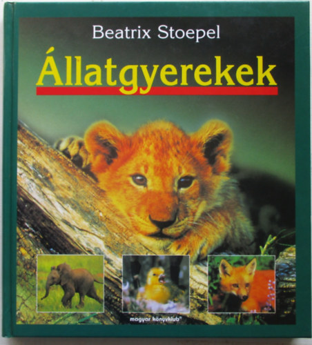 Beatrix Stoepel - llatgyerekek