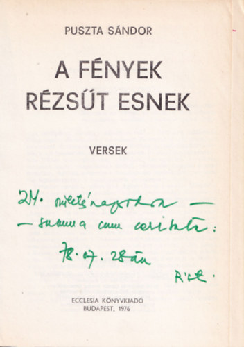 Puszta Sándor - A fények rézsűt esnek