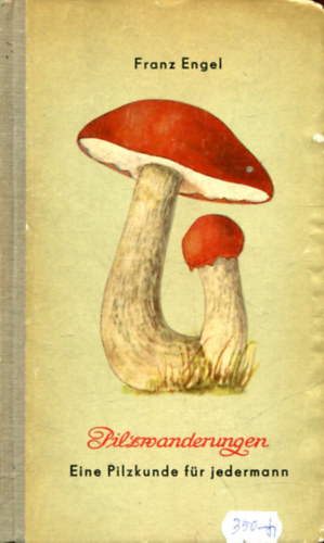 Franz Engel - Pilzwanderungen