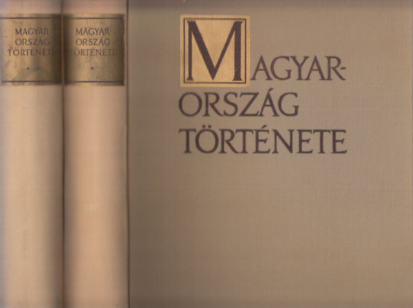 Molnár-Palményi-Székely - Magyarország története I-II.