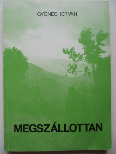 Gyenes Istvn - Megszllottan