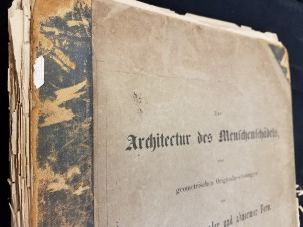 Johann Christian Gustav Lucae - Zur Architctur des Menschenschadels Geometrischen Originalzeichunungen - Az emberi koponya felépítése