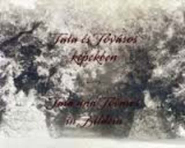 Horváth István Mohai Rita - Tata és Tóváros képekben / Tata und Tóváros in Bildern