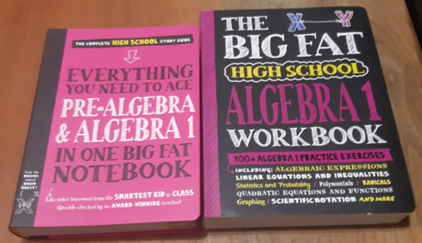 Everything You Need to Ace Pre-Algebra and Algebra 1 In One Big Fat Notebook + The Big Fat High School Algebra 1 Workbook: 400+ Algebra 1 Practice Exercises