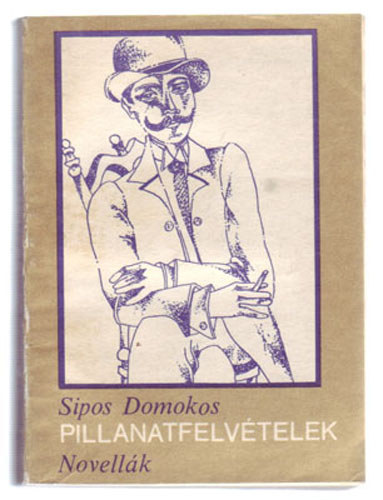 Sipos Domokos - Pillanatfelvételek