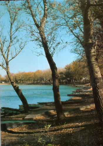 H�dmez�v�s�rhely -Hungalu A.Sz.Gy. kiadv�nya