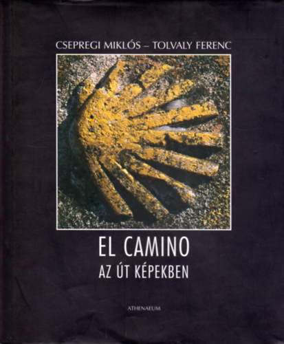 Tolvaly Ferenc-Csepregi Mikls - El Camino - Az t kpekben
