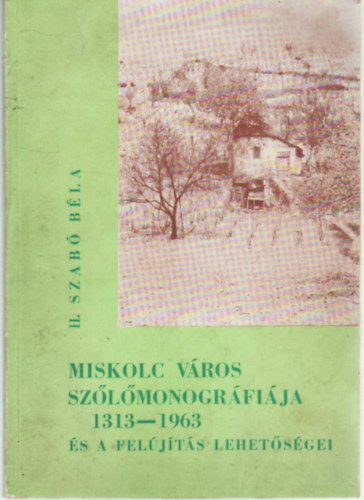 H. Szab Bla - Miskolc vros szlmonogrfija 1313-1963 s a feljts lehetsgei