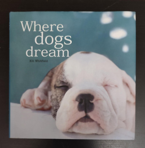Kit Whitfield - Where dogs dream