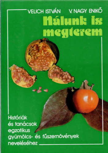 Velich Istv�n-V. Nagy Enik� - N�lunk is megterem