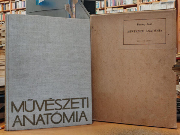 Barcsay Jen - Mvszeti anatmia