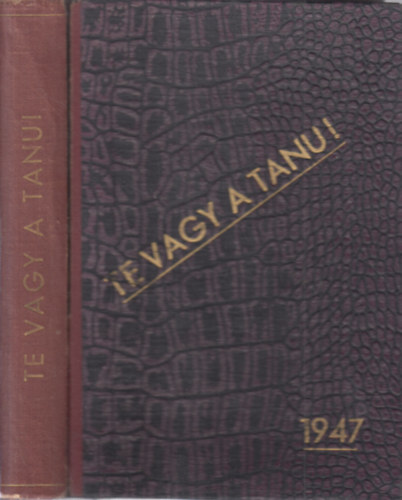 P�r Dezs�-Zsad�nyi Oszk�r - Te vagy a tanu! (Ukrajn�t�l Auschwitzig)
