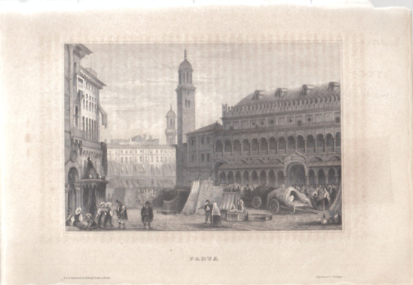 Padua (Padova, Olaszorszg, Eurpa) (16x23,5 cm lapmret eredeti aclmetszet, 1856-bl)