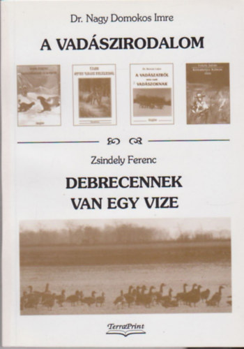 Zsindely Ferenc - Debrecennek van egy vize