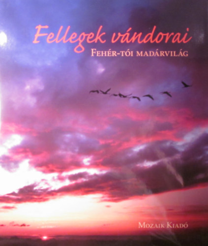 Csizmazia Gy�rgy - Fellegek v�ndorai. Feh�r-t�i mad�rvil�g