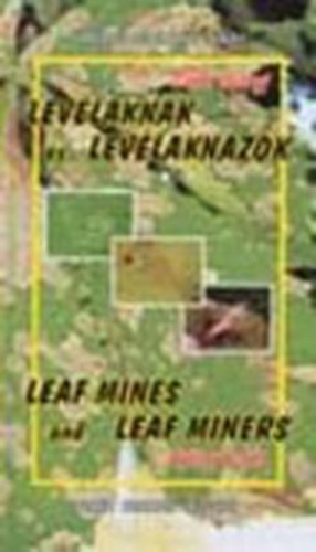 Cs�ka Gy�rgy - Lev�lakn�k �s lev�lakn�z�k