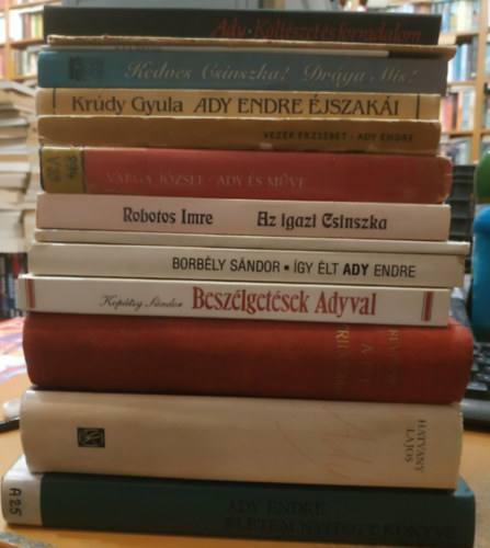 Boncza Berta , Krdy Gyula, Vezr Erzsbet, Varga Jzsef, Robotos Imre, Lukcs Gyrgy, Rvsz Bla, Koptsy Sndor, Borbly Sndor, Hatvany Lajos, Losonci Mikls Ady Endre (Csinszka) - 14 Ady Endre: letem nyitott knyve; Ady (Cikkek, elemzsek, levelek); Ady trilogija; gy lt Ady Endre; Beszlgetsek Adyval; Ady Emlkmzeum; Kltszet s forradalom