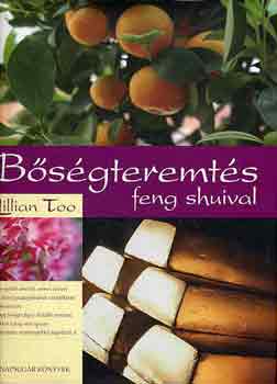 Lillian Too - Bsgteremts feng shuival
