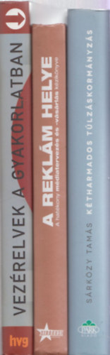 3db befektet�ssel kapcsolatos m� - S�rk�zy Tam�s: K�tharmados t�lkorm�nyz�s + Incze Kinga-P�nzes Anna: A rekl�m helye + Dennis Carey-Carline von Weichs: Vez�relvek a gyakorlatban