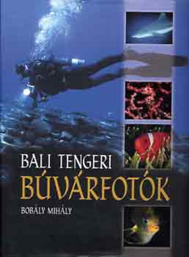 Bobly Mihly - Bali tengeri bvrfotk