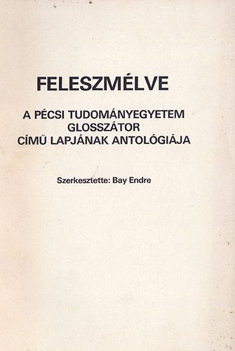 Bay Endre - Feleszmlve