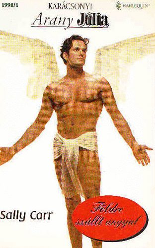 Sally Carr - F�ldre sz�llt angyal