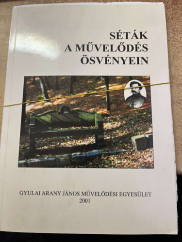 Friedrich Endr�n� - Szab� Ferenc - Sz�kely J�nos  (szerk.) - S�t�k a m�vel�d�s �sv�nyein - Egyes�leti est�k