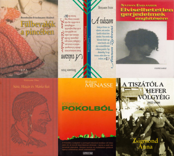 Zsigmond Anna, Robert Menasse, Benjamin Stein, Waldmann Tibor, Nathan Englander Bernheim-Friedmann Ráchel - 6 db zsidó témájú könyv: Fülbevalók a pincében + A Tiszától a Hefer völgyéig + Kiűzetés a pokolból + A vászon ! + Sára, Hágár és Mária fiai (avagy História Tyrustól Auschwitzig) + Elviselhetetlen gerjedelmek enyhítésére