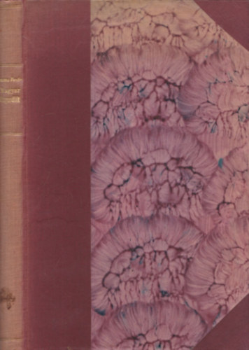 Kozma Andor - Magyar rhapsodiák