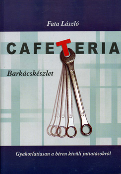 Fata L�szl� - Cafeteria bark�csk�szlet - Gyakorlatiasan a b�ren k�v�li juttat�sokr�l