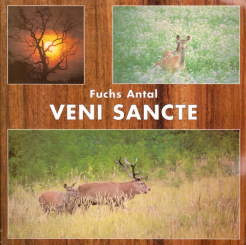Fuchs Antal - Veni Sancte